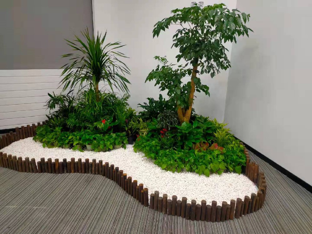 新北区公司大楼室内绿植造景