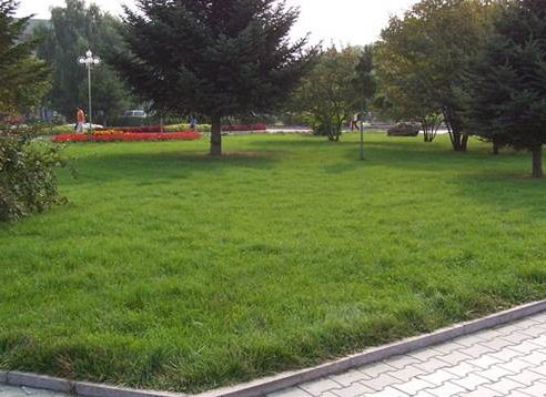 1769157647143912.png 4.png